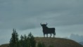 /album/rushs7/andalousie-isa-jpg/